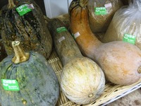 ひょうたんかぼちゃの簡単おやつはいかが?