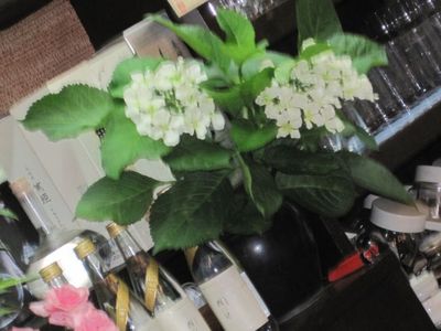 田舎料理のおいしい「母屋」