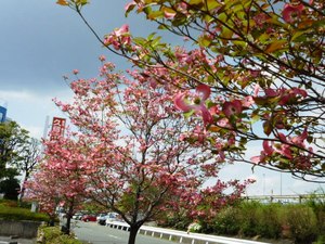 心和んで