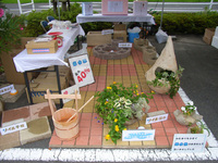 参加しました!