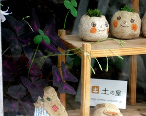 秋の土の屋あれこれ