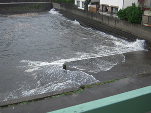 台風の日の土の屋