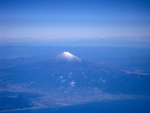 東京ビッグサイトにて土球（つちだま）展示