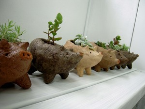 明日から3日間限定☆豚物産展