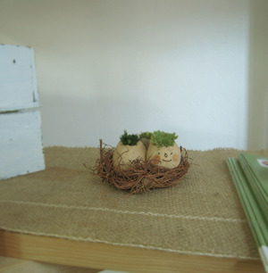 鳥の巣