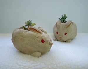 今週末はエコライフプラザで教室します☆