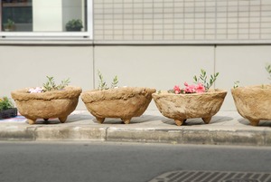 「金山」駅の土球(つちだま)