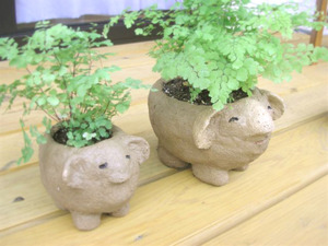 羊の夫婦と靴