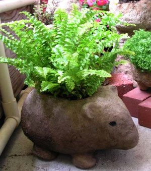 土の屋クラフト教室生徒さんの作品