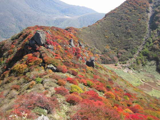 くじゅう連山紅葉情報2012/10/16