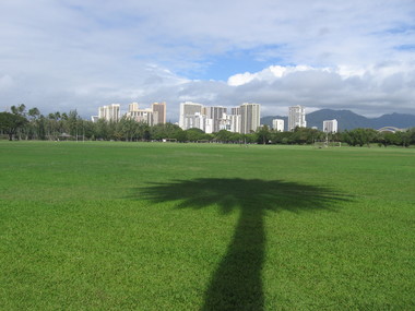 KAPIOLANIPARK カピオラニ公園