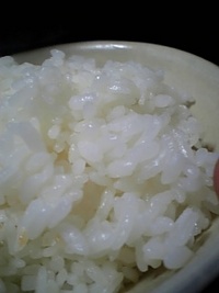 炭水化物最高！！！！
