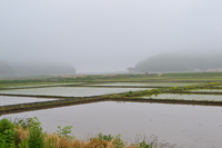 陸前高田を歩く
