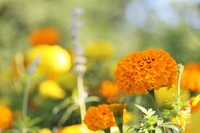 2011年10月01日