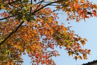 2011年11月13日