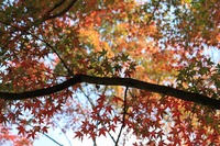 2011年11月20日