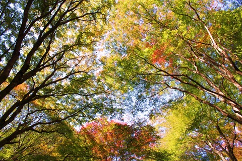 普現寺