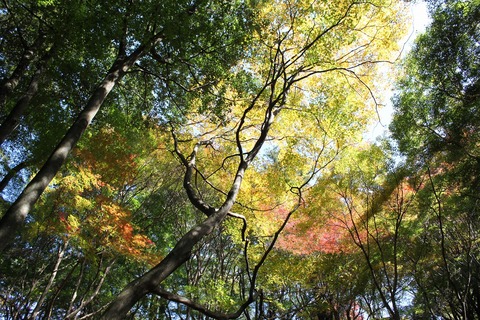 普現寺