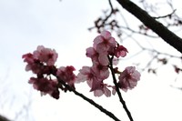 2010年03月13日