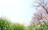 2010年04月03日