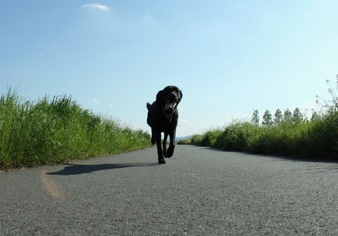 GWがなくなった。