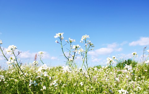 GWがなくなった。