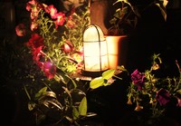 2010年05月22日
