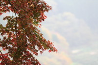 2010年11月13日