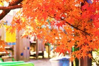 2010年11月21日