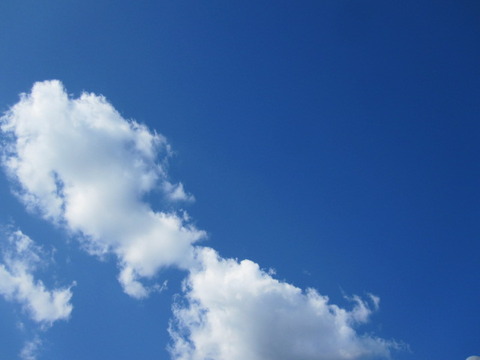 天気ええなぁ~。