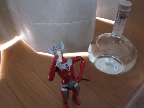 また君に恋してる。