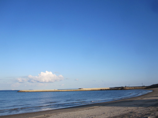 海