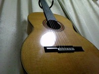 ガッツリ♪