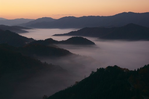 雲海