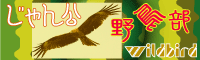 じゃん公野鳥部ログ　飛びます～！