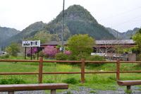 市内温泉効能旅⑤〈裏耶馬溪温泉〉