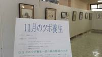 【11月ツボ健康教室】