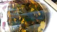 11月ぶぜん薬膳と、薬膳茶おやつ講座