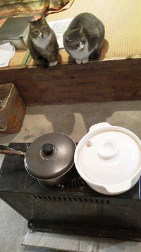 ストーブ点火待ち( 〃∇〃)