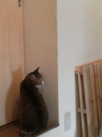 開けて〜(*^ ¬^*)