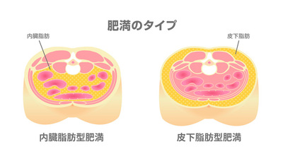 体脂肪とは?? 体脂肪とは??
