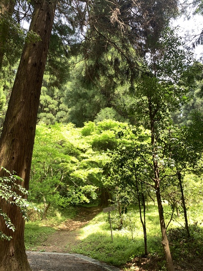 よもぎ蒸しによるリラックス効果★☆ よもぎ蒸しによるリラックス効果★☆