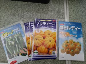 ミニ野菜、順調です。