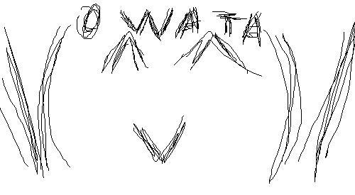 OWATA