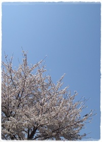 新学期。 2011/04/11 11:00:00