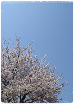 新学期。