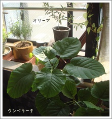 2nd Living