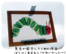 トランスパレント