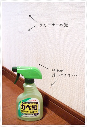 壁を洗う