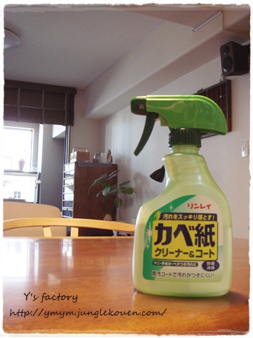 壁を洗う